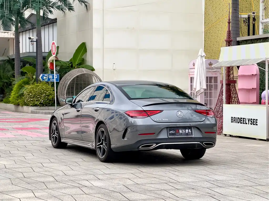 Mercedes-Benz CLS CLS 300 Luxury