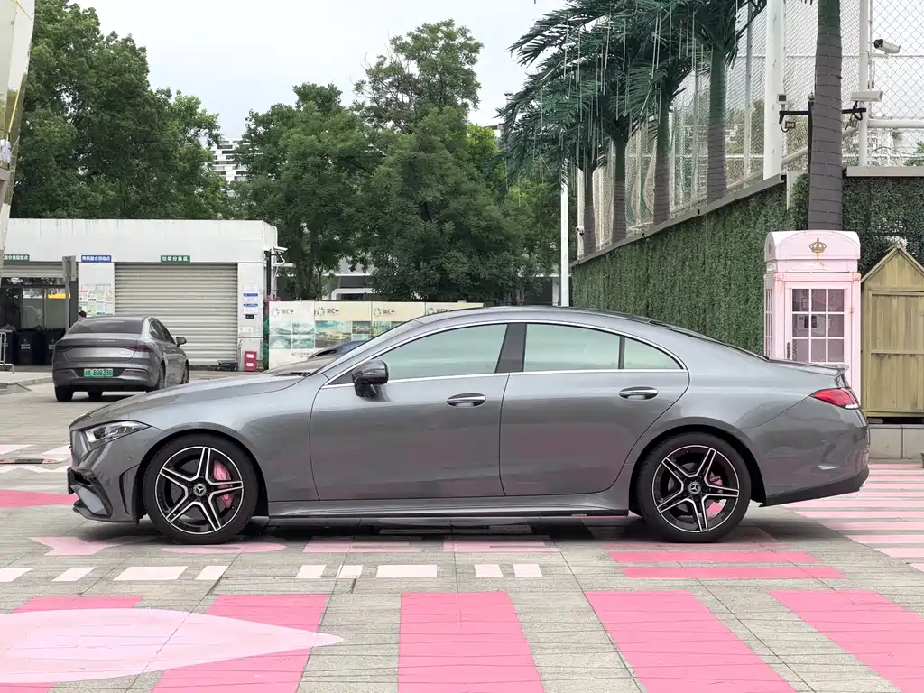 Mercedes-Benz CLS CLS 300 Luxury