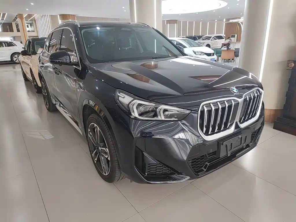 BMW X1 sDrive25 Li M Sport Package