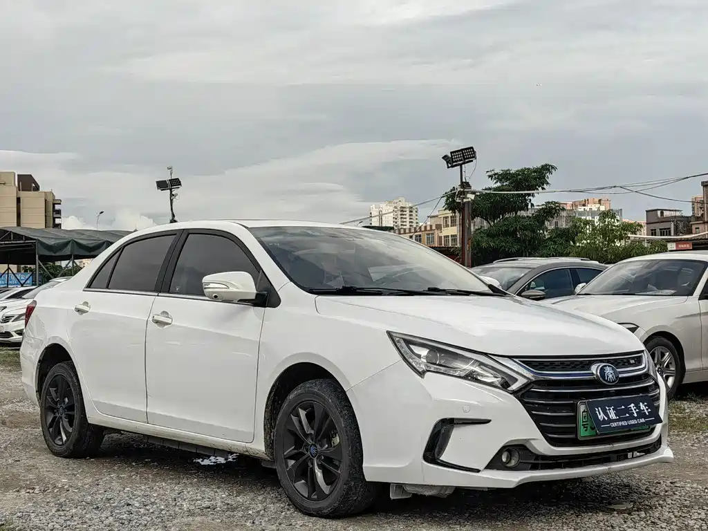 Qin NEV 1.5 T Distinguished
