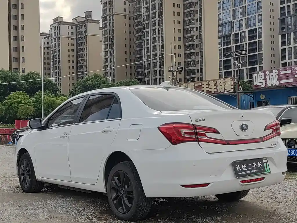Qin NEV 1.5 T Distinguished