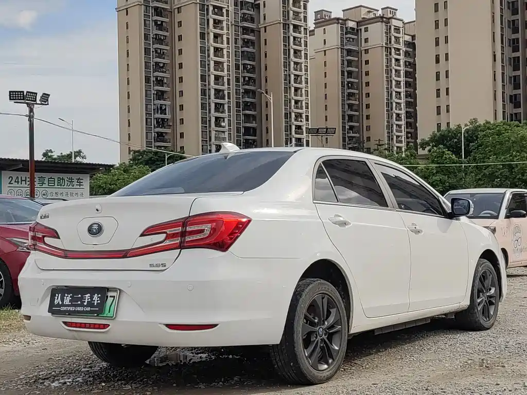 Qin NEV 1.5 T Distinguished