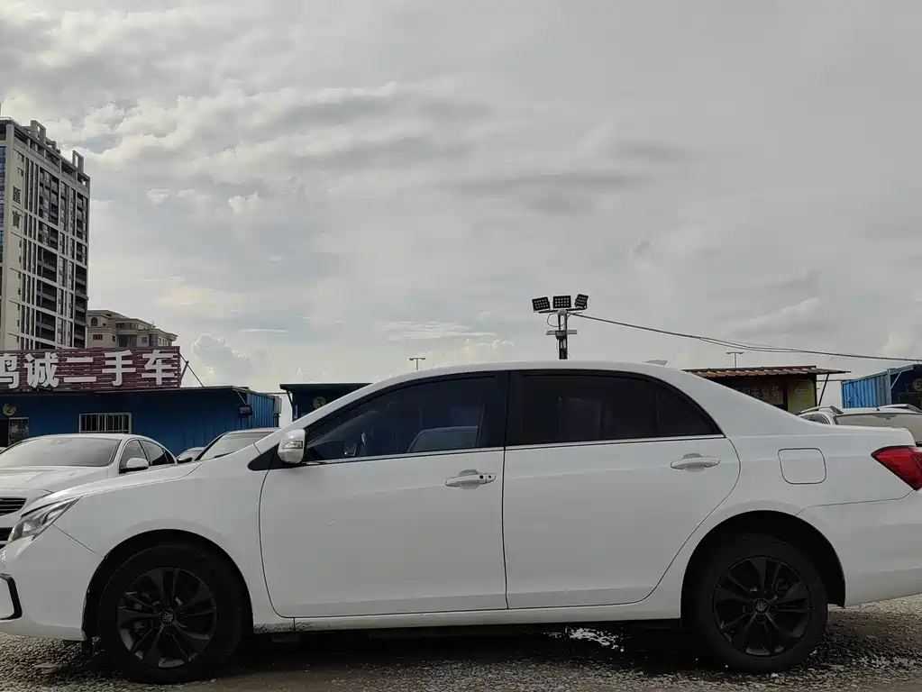 Qin NEV 1.5 T Distinguished