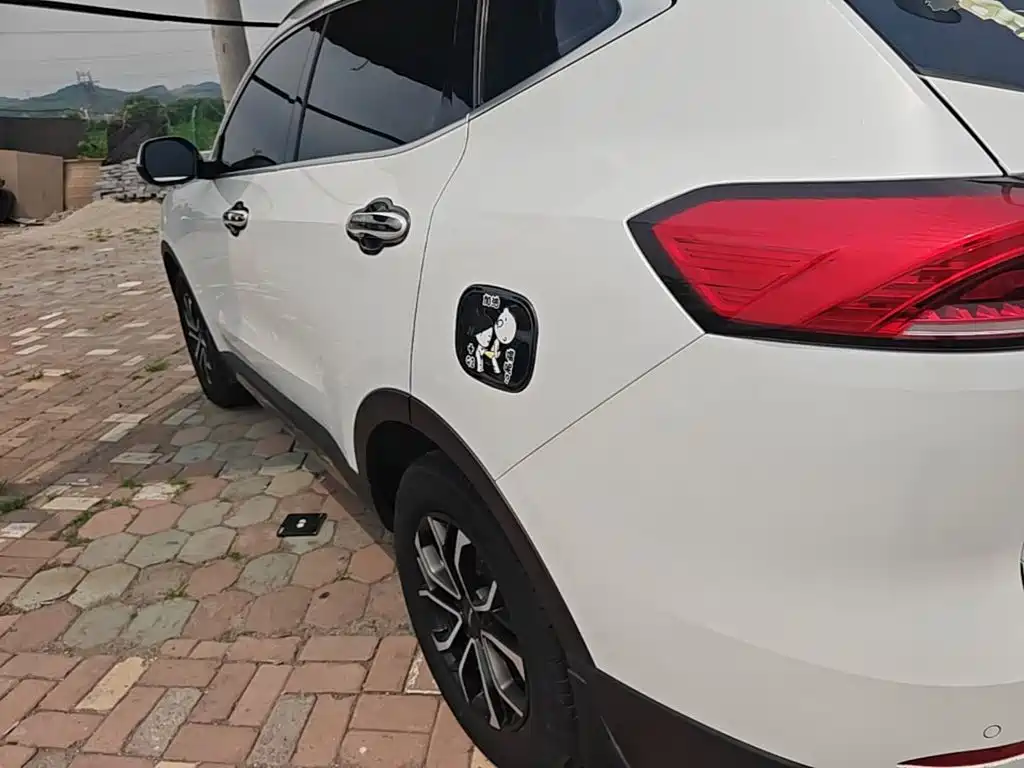 Haval H6 China Style 1.5 T Auto Urban