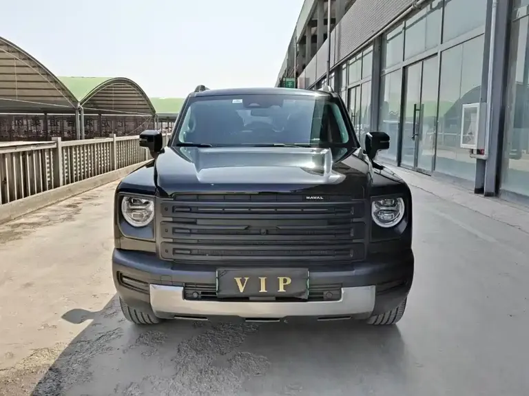 Haval Menglong NEV Hi4 145 Cross