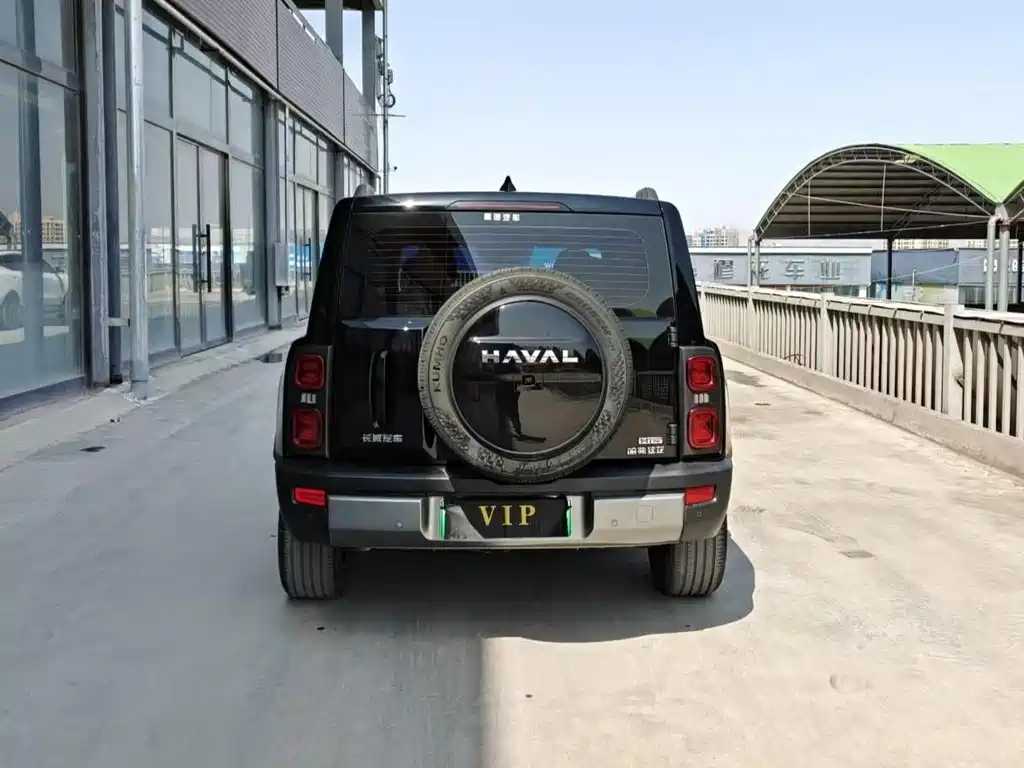 Haval Menglong NEV Hi4 145 Cross