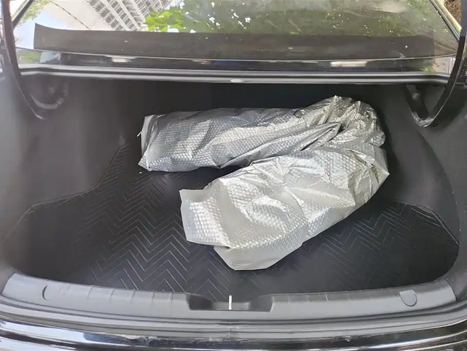 Xingrui Facelift 2.0 TD Distinguished