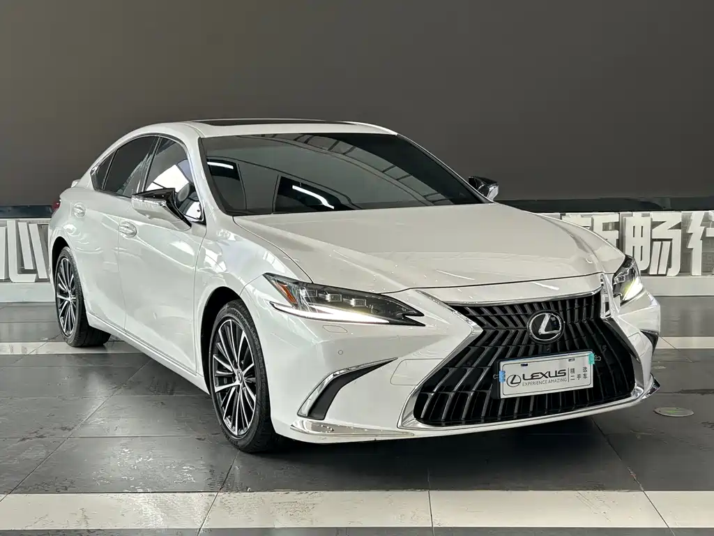Lexus ES 300 h Premium Enjoyment