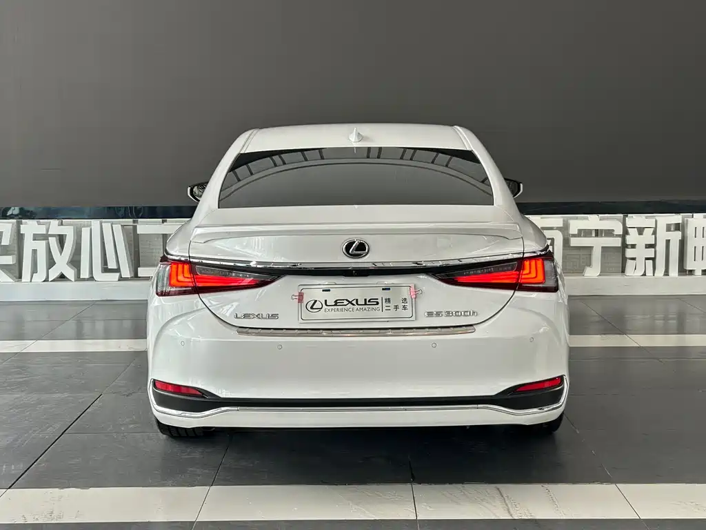 Lexus ES 300 h Premium Enjoyment