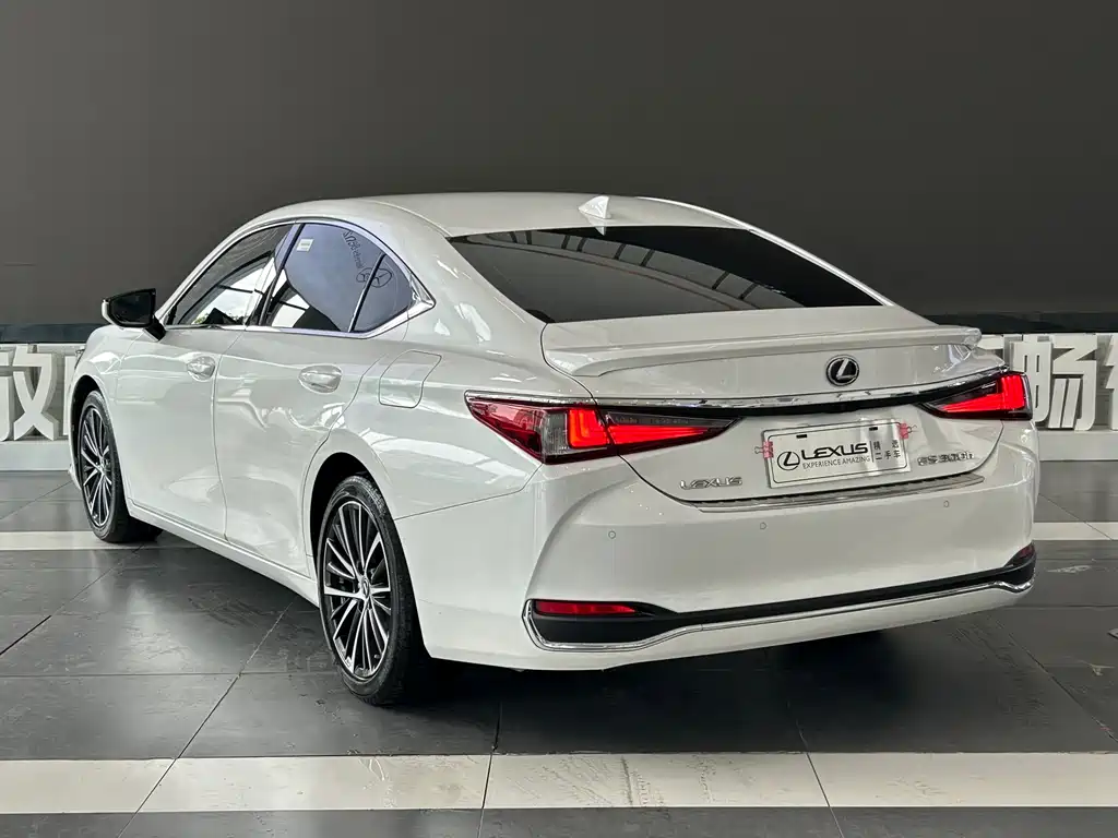 Lexus ES 300 h Premium Enjoyment