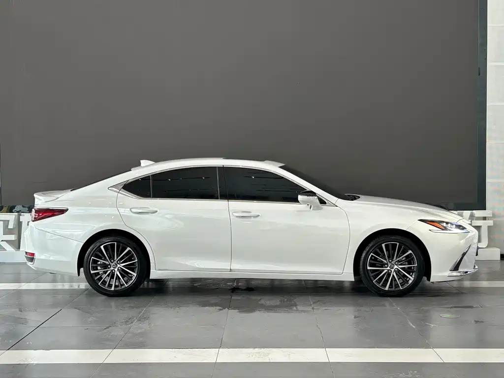 Lexus ES 300 h Premium Enjoyment