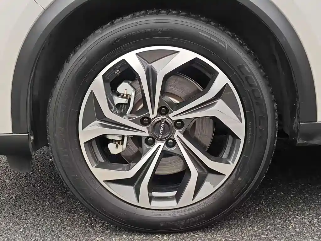 Haval H6 China Style 1.5 GDIT Auto Champion
