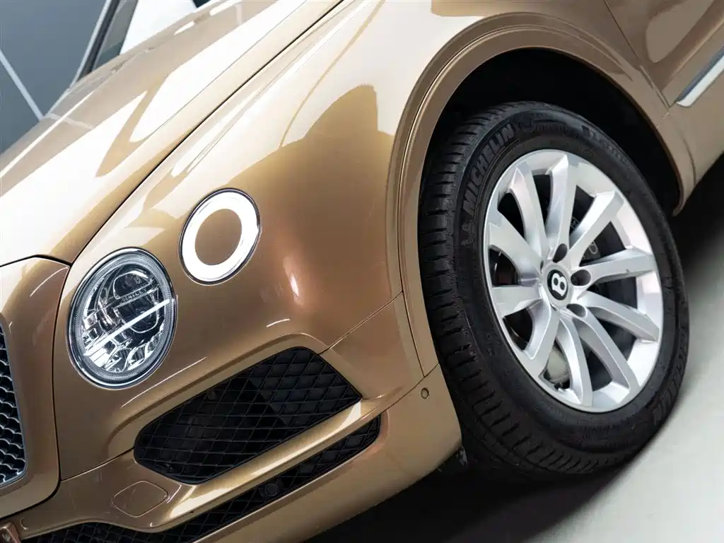 Bentayga 添越 2018款 4.0 T V8 欧规版