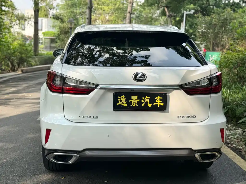 Lexus RX 300 4 WD Elegant CN-V