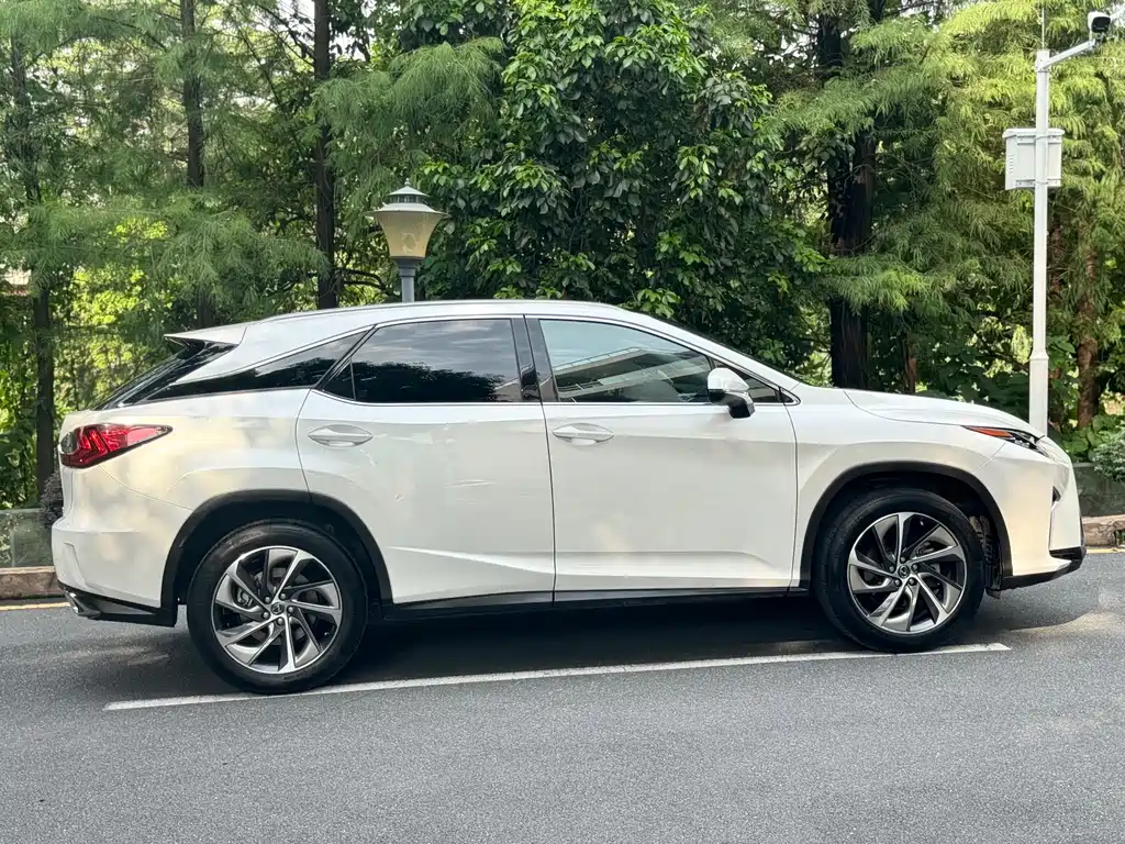 Lexus RX 300 4 WD Elegant CN-V
