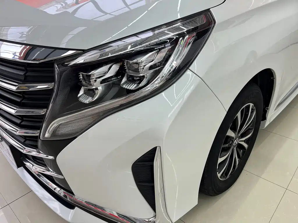 GAC Trumpchi M8 Leading Show Series 390 T Premium