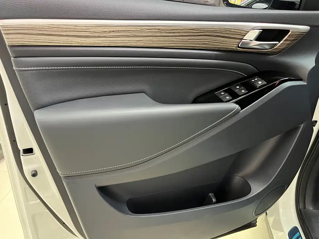 GAC Trumpchi M8 Leading Show Series 390 T Premium