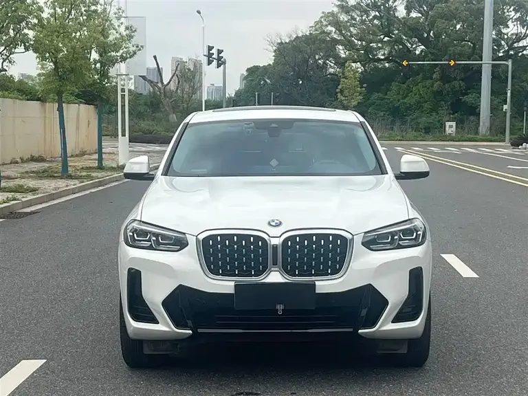 BMW X4 xDrive 25 i M Sport Package