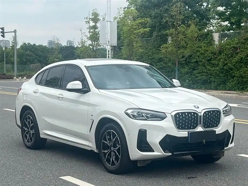 BMW X4 xDrive 25 i M Sport Package