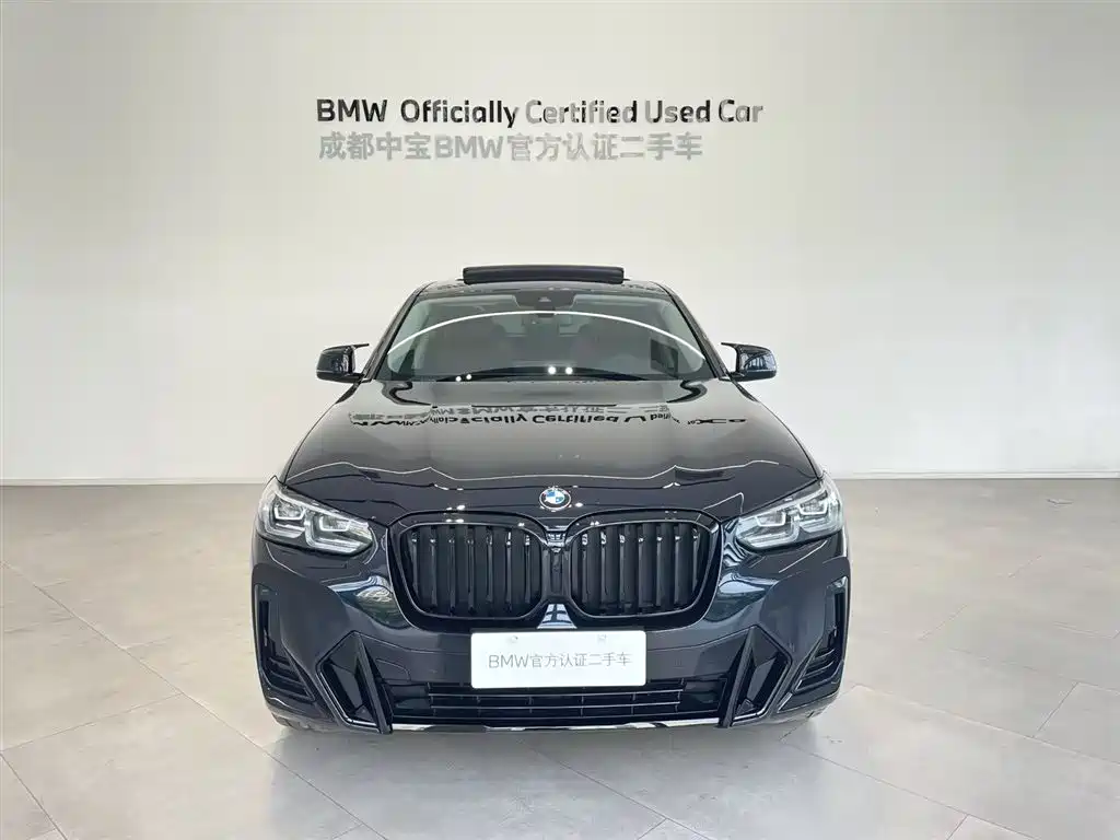 BMW X4 xDrive 25 i M Sport Package