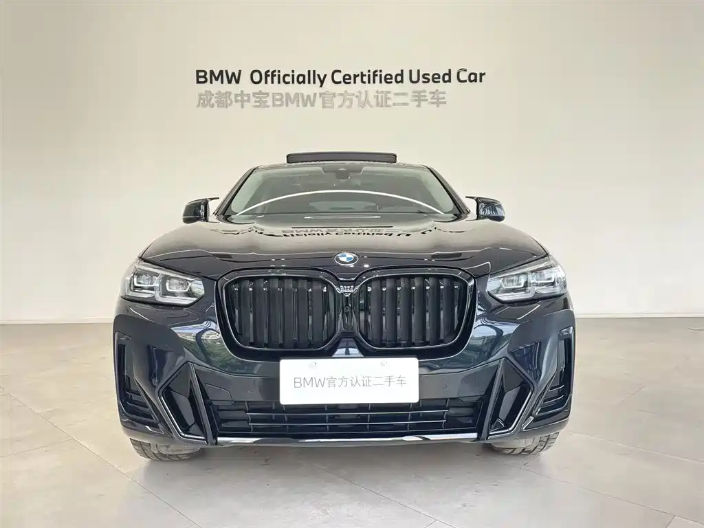 BMW X4 xDrive 25 i M Sport Package