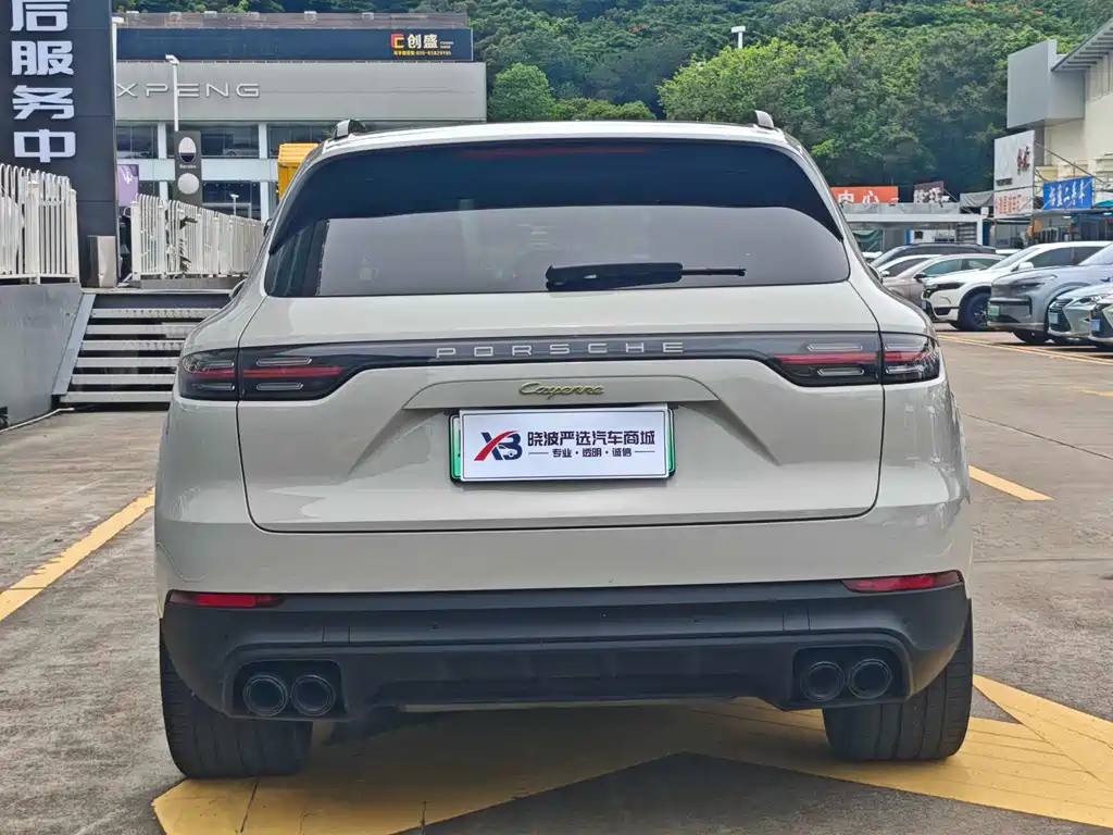 Cayenne NEV Cayenne E-Hybrid 2.0 T Platinum