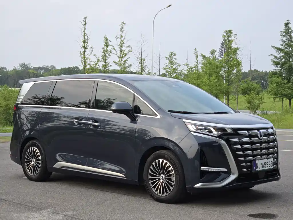 Denza D9 DM-i 970 4 WD Honored