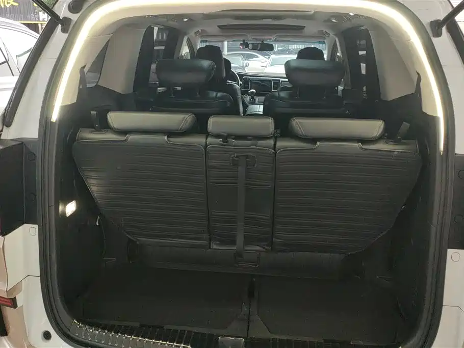 Elysion 2.4 L Luxury