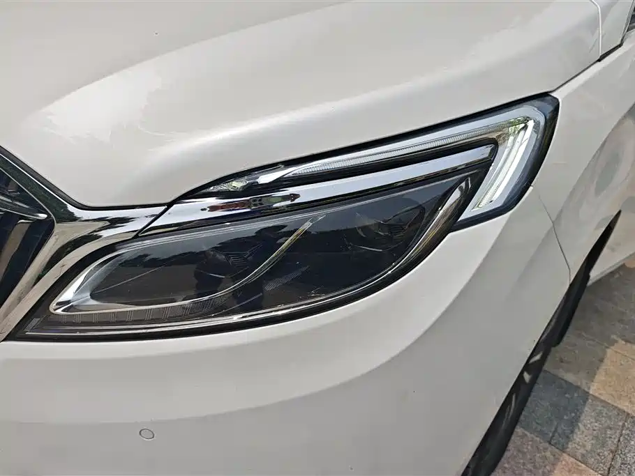 Buick GL8 ES 28 T Flagship CN-VI