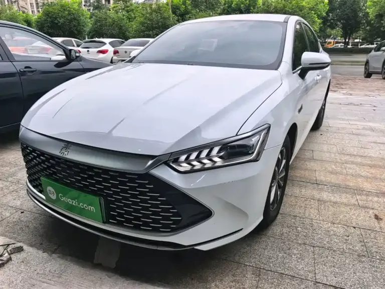 BYD Qin PLUS Champion DM-i 55 KM Leading