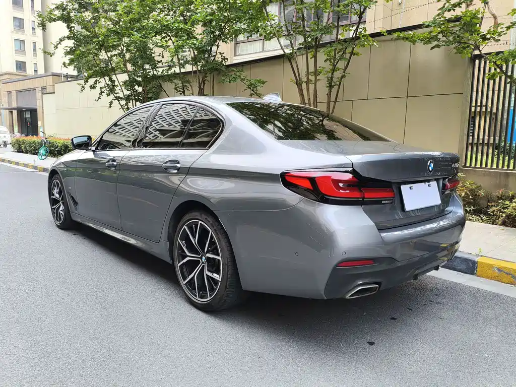 BMW 5 Series (Import) Facelift 530 i M Sport Package