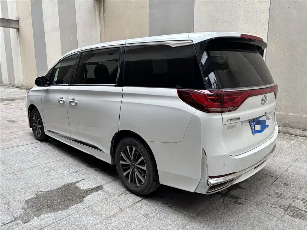 GAC Trumpchi M8 Leading Show Series 390 T Premium