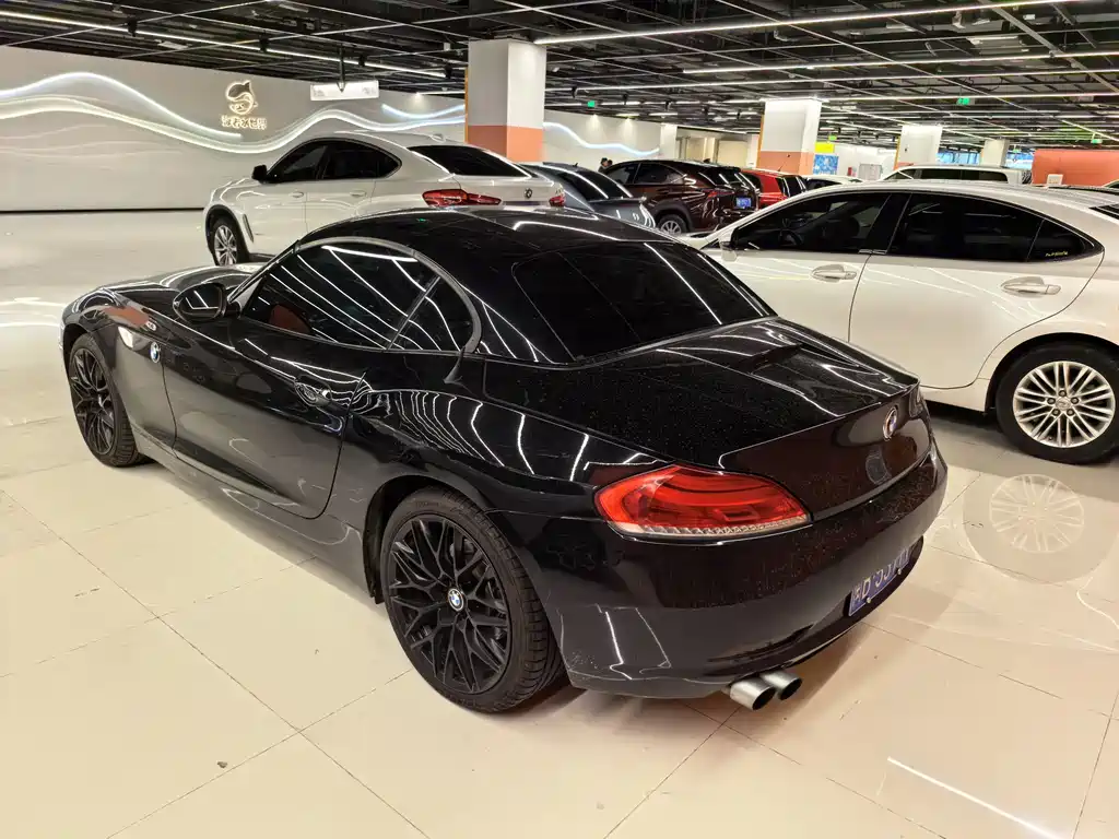 BMW Z4 sDrive20 i Leading