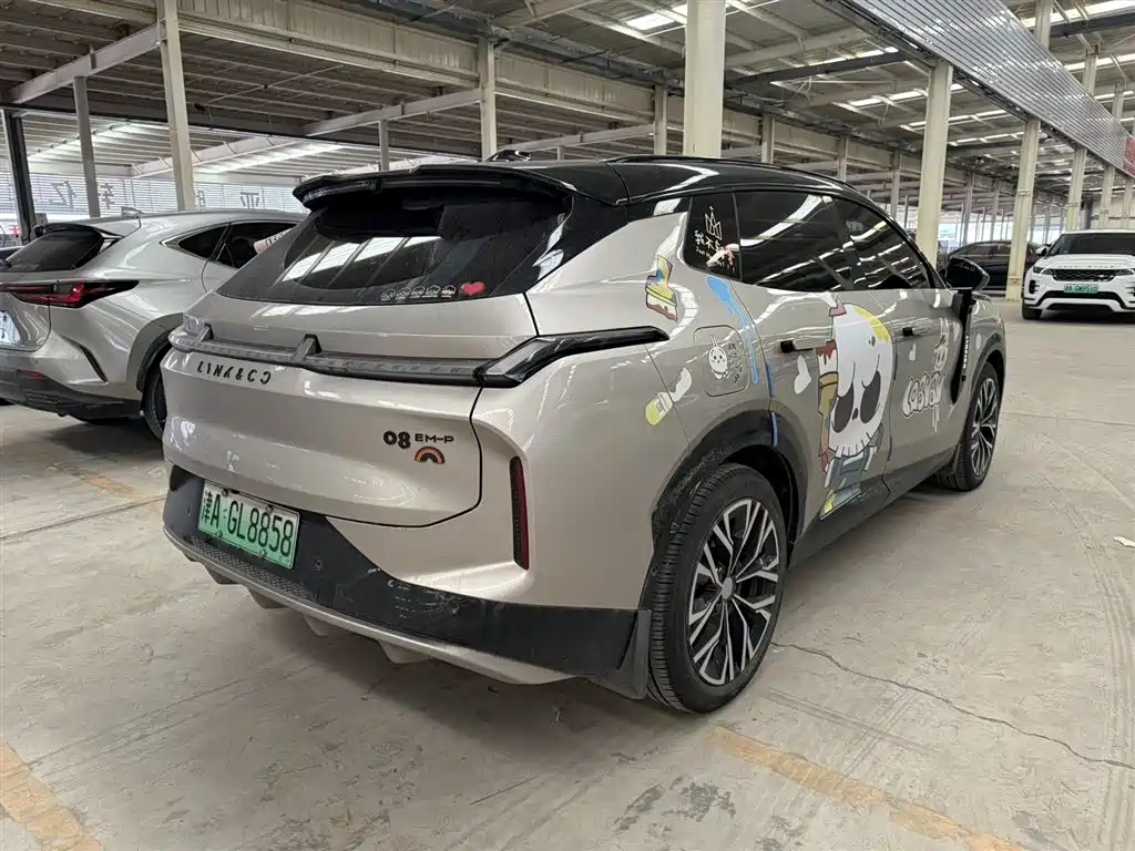 Lynk & Co 08 EM-P 220 km 4 WD Performance Halo