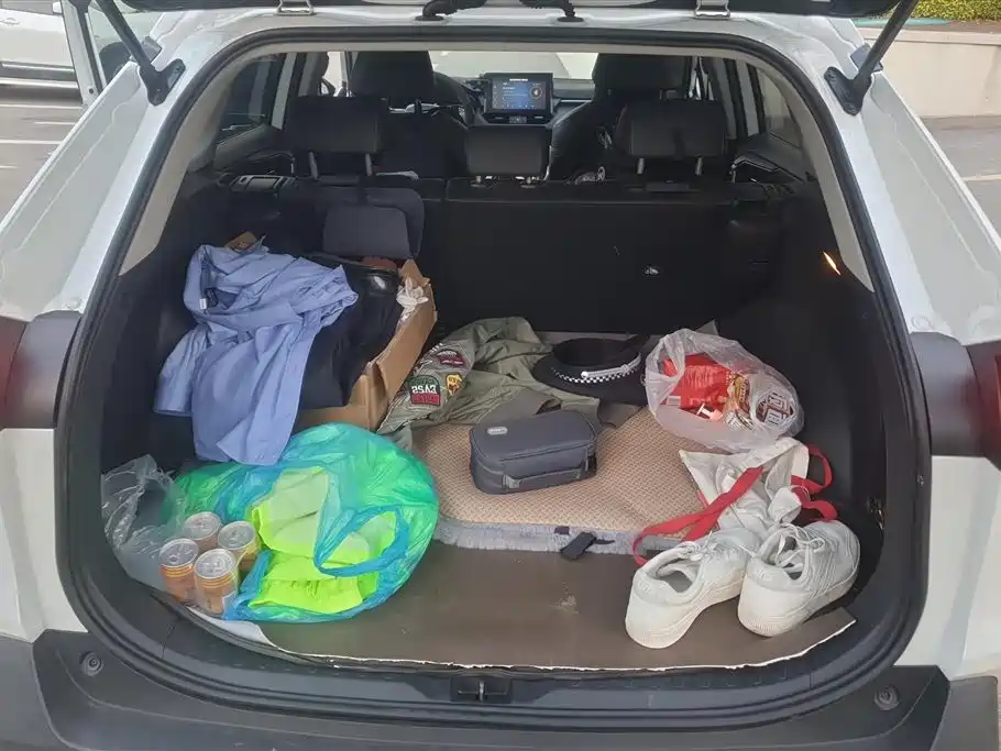 RAV4 2.0 L CVT 4 WD Distinguished