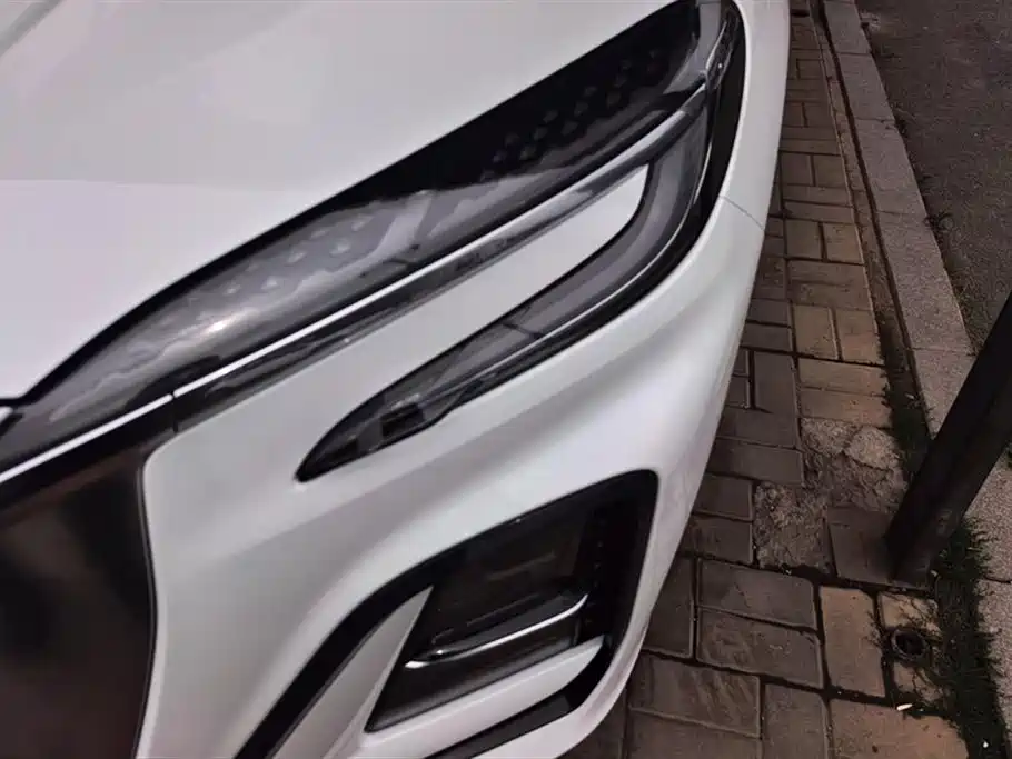 Hongqi HS3 PHEV 117 km Power Action PLUS