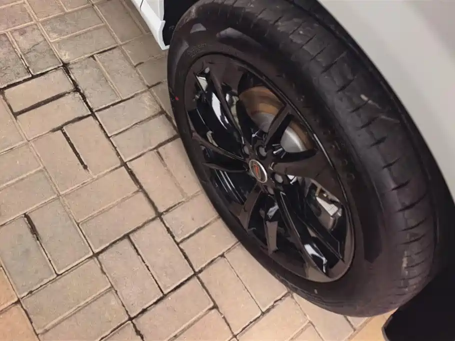 Hongqi HS3 PHEV 117 km Power Action PLUS