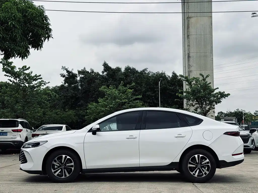 Qin PLUS DM-i Smart Drive 55 KM Leading