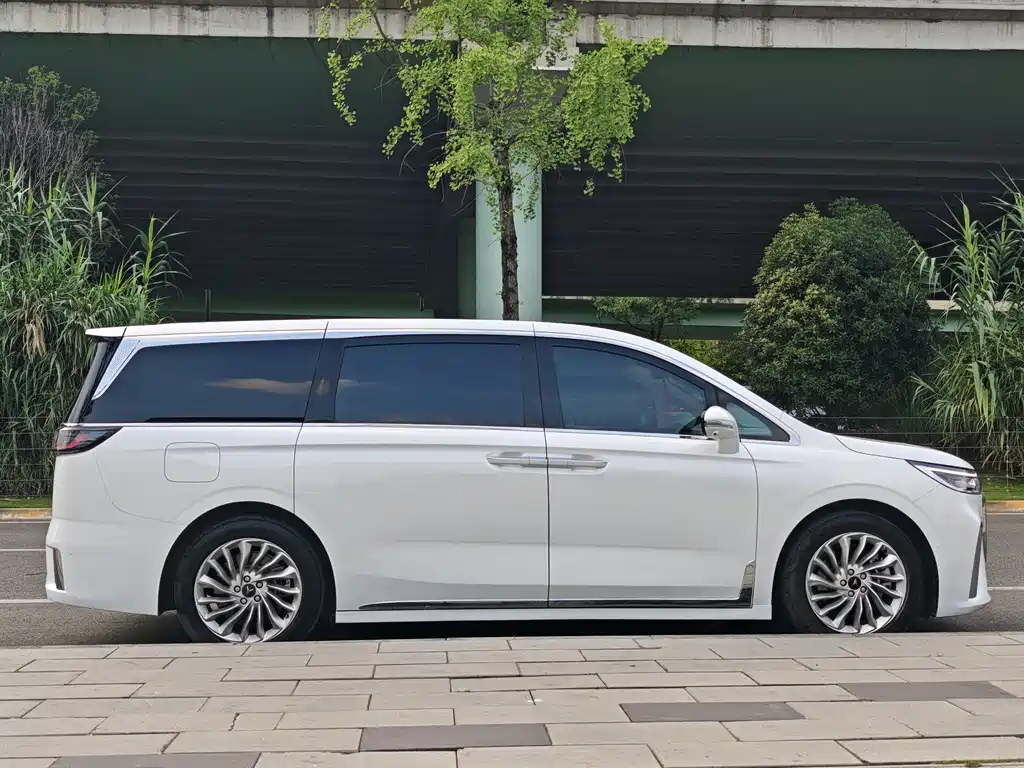 Voyah Dreamer Low Carbon Dream + Smart Drive Package