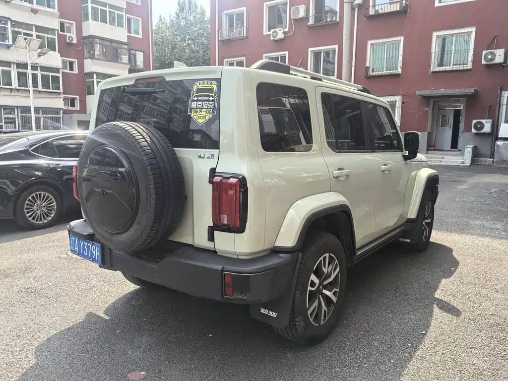 Tank 300 City 2.0 T Very