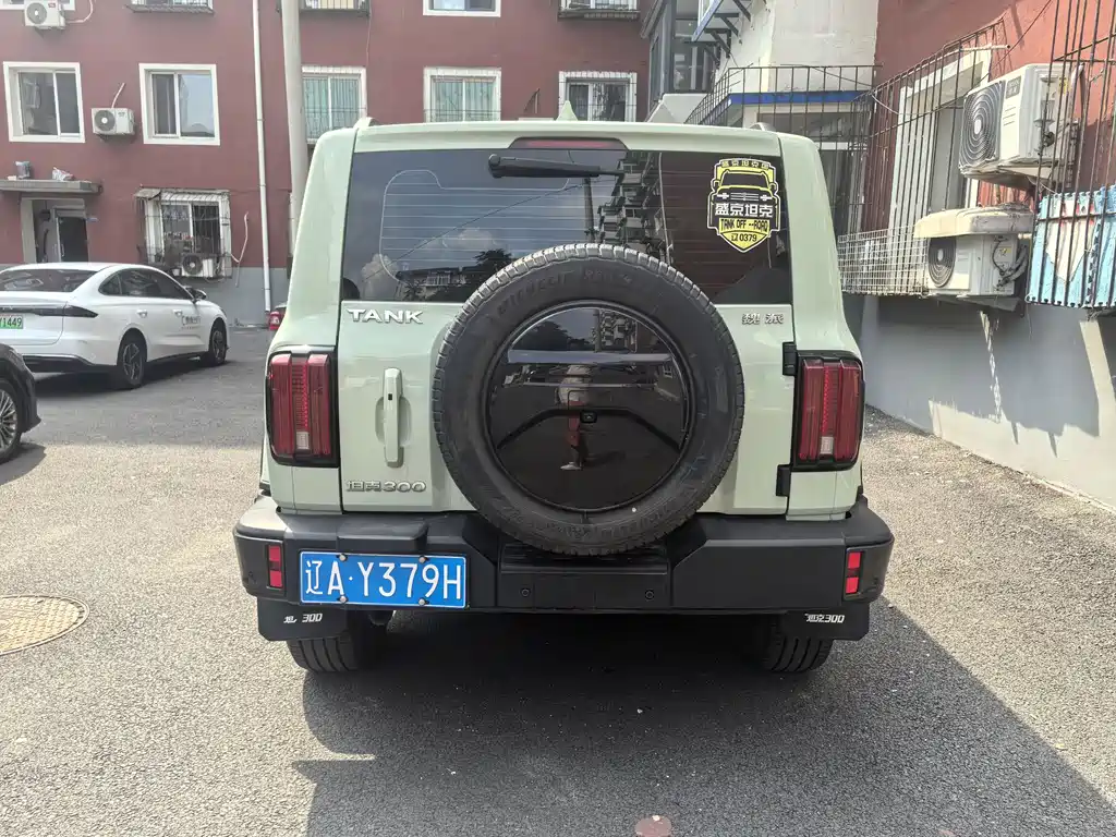 Tank 300 City 2.0 T Very