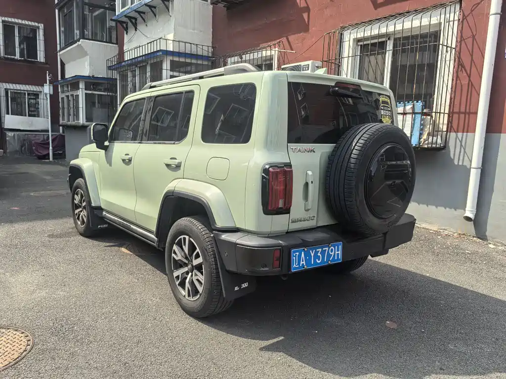 Tank 300 City 2.0 T Very