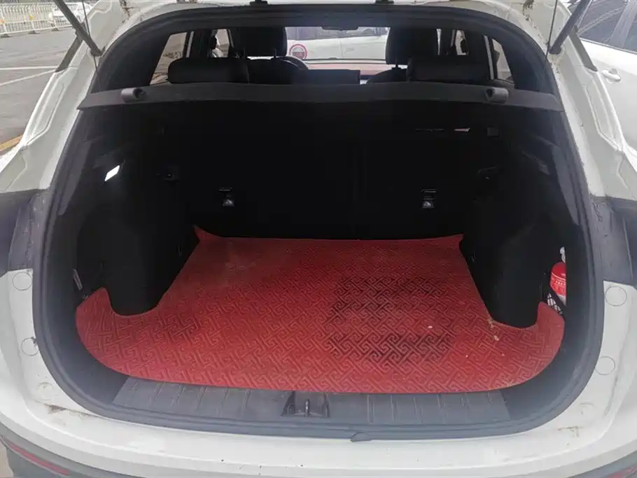 Binyue PRO 260 T DCT Knight