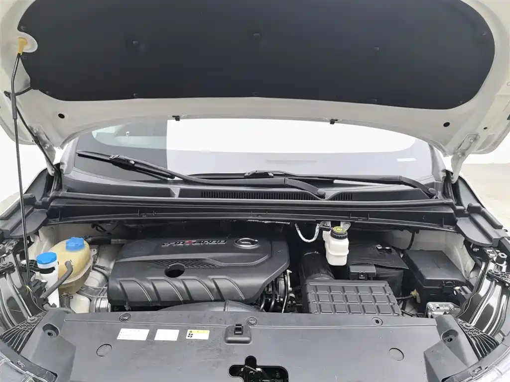 GAC Trumpchi M6 传祺M6 2019款 270 T DCT尊荣版（七座）国VI