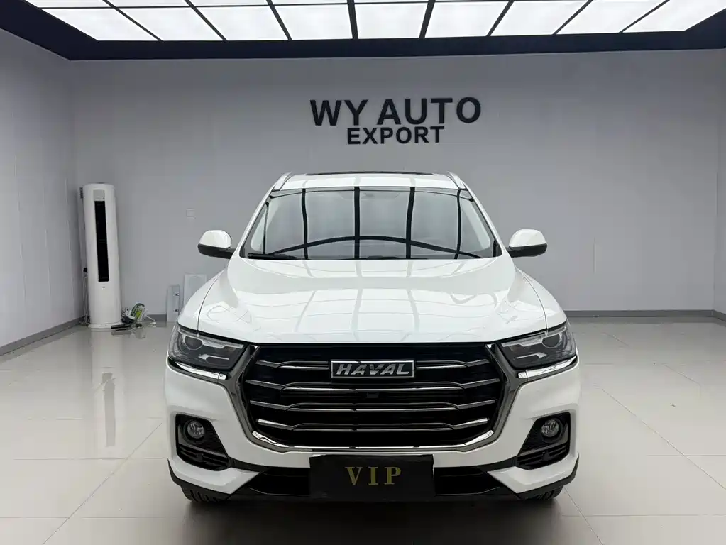 Haval H6 China Style 1.5 T Auto Urban