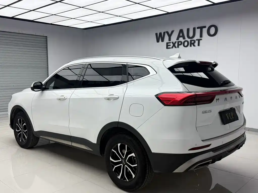 Haval H6 China Style 1.5 T Auto Urban