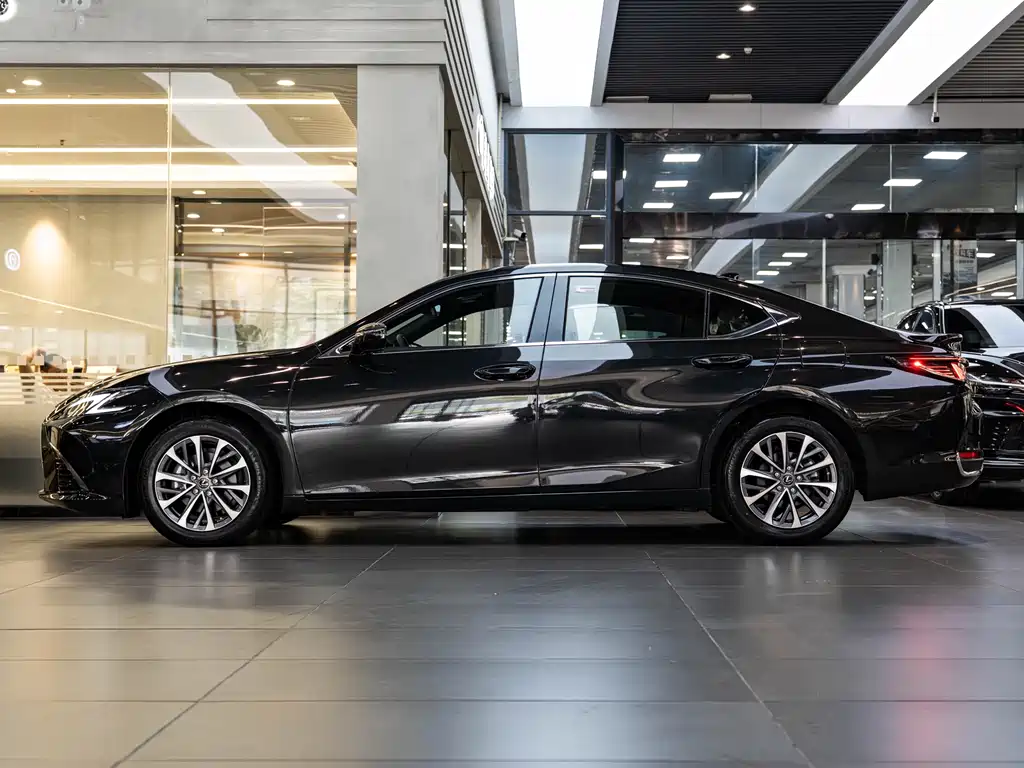 Lexus ES 300 h Premium Enjoyment
