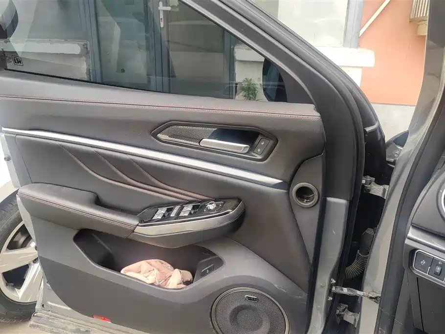 WEY VV5 2.0 T Super Luxury