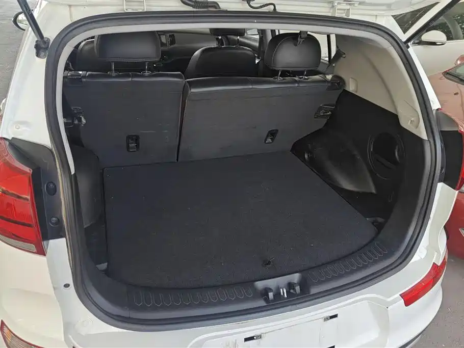 Sportage 2.0 L Auto 2 WD DLX