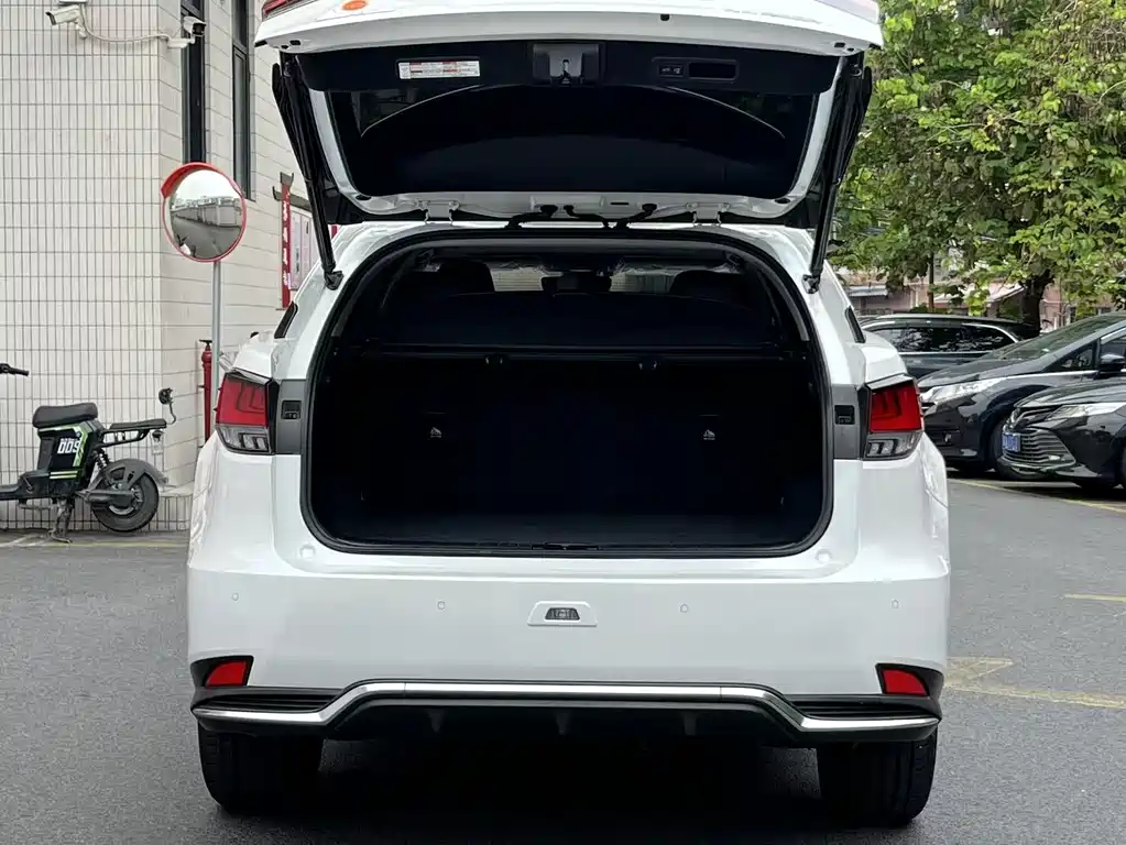 Lexus RX Facelift 450 h 4 WD Elegant